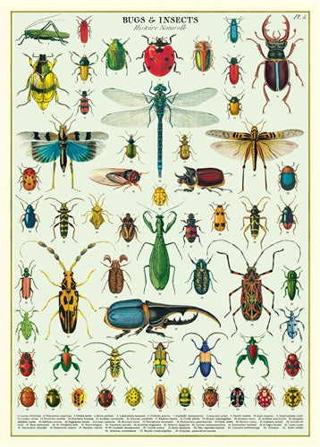 Bugs and Insects Wrap